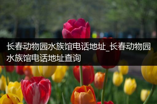 长春动物园水族馆电话地址_长春动物园水族馆电话地址查询