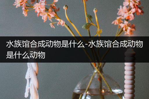 水族馆合成动物是什么-水族馆合成动物是什么动物