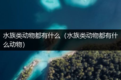 水族类动物都有什么（水族类动物都有什么动物）