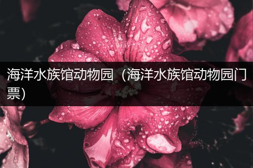 海洋水族馆动物园（海洋水族馆动物园门票）