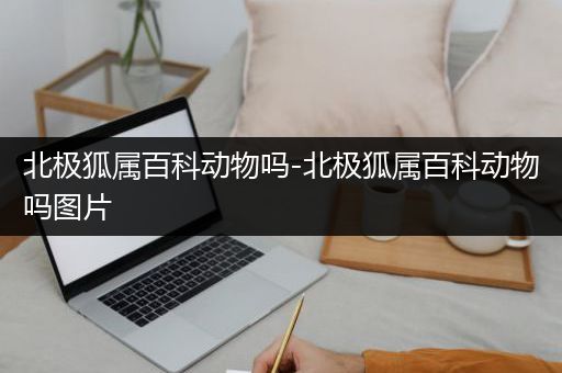 北极狐属百科动物吗-北极狐属百科动物吗图片