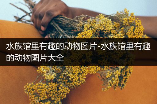 水族馆里有趣的动物图片-水族馆里有趣的动物图片大全