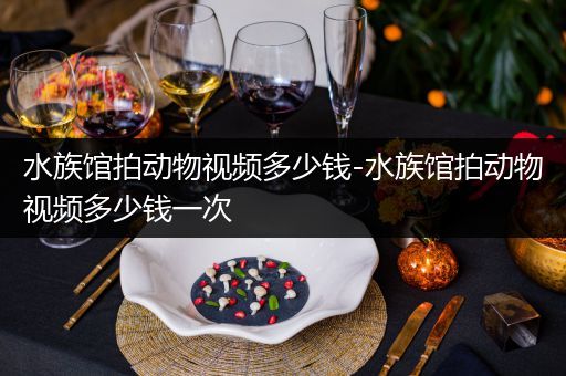 水族馆拍动物视频多少钱-水族馆拍动物视频多少钱一次