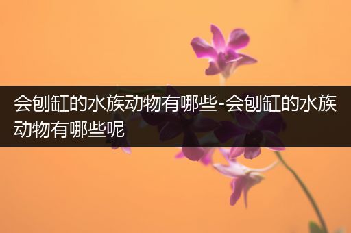 会刨缸的水族动物有哪些-会刨缸的水族动物有哪些呢