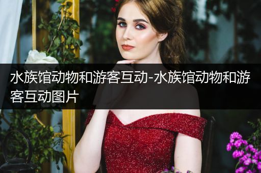水族馆动物和游客互动-水族馆动物和游客互动图片