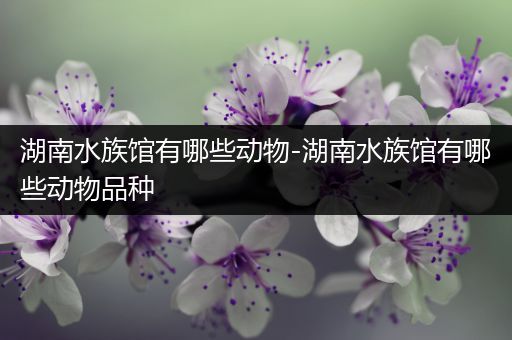 湖南水族馆有哪些动物-湖南水族馆有哪些动物品种
