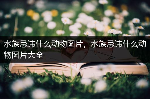水族忌讳什么动物图片，水族忌讳什么动物图片大全