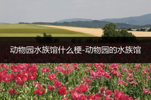 动物园水族馆什么梗-动物园的水族馆
