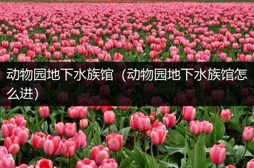 动物园地下水族馆（动物园地下水族馆怎么进）