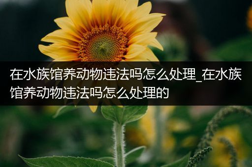 在水族馆养动物违法吗怎么处理_在水族馆养动物违法吗怎么处理的