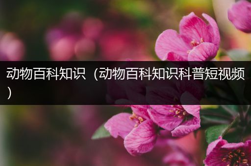 动物百科知识（动物百科知识科普短视频）
