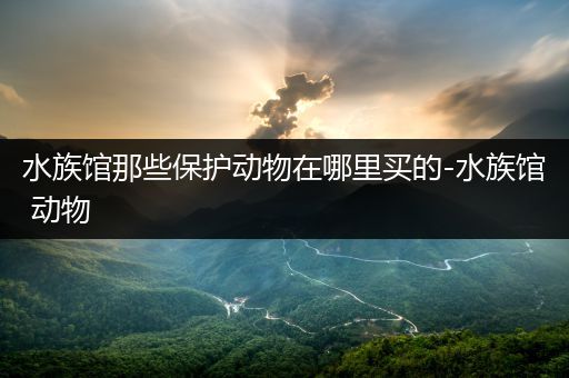 水族馆那些保护动物在哪里买的-水族馆 动物