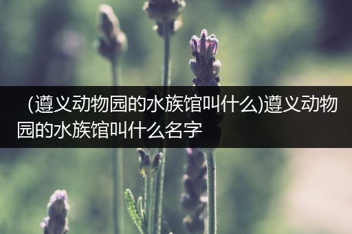 （遵义动物园的水族馆叫什么)遵义动物园的水族馆叫什么名字