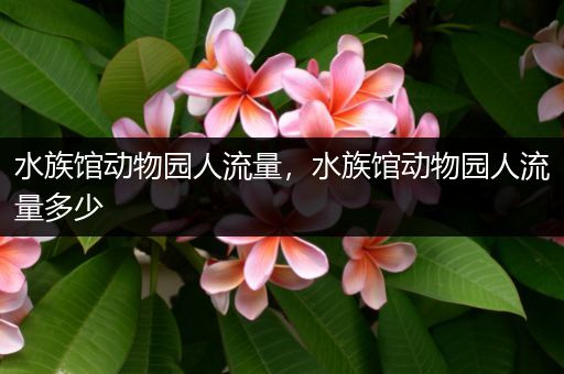 水族馆动物园人流量，水族馆动物园人流量多少