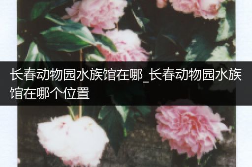 长春动物园水族馆在哪_长春动物园水族馆在哪个位置