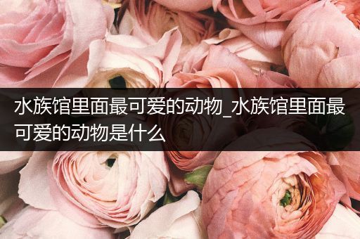 水族馆里面最可爱的动物_水族馆里面最可爱的动物是什么