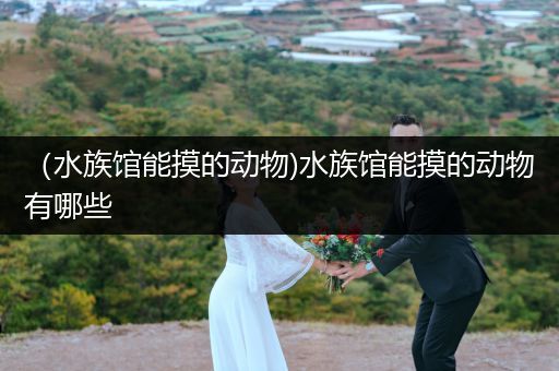 （水族馆能摸的动物)水族馆能摸的动物有哪些