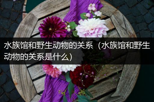 水族馆和野生动物的关系（水族馆和野生动物的关系是什么）