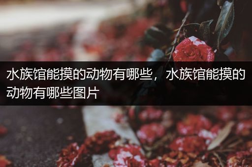 水族馆能摸的动物有哪些，水族馆能摸的动物有哪些图片