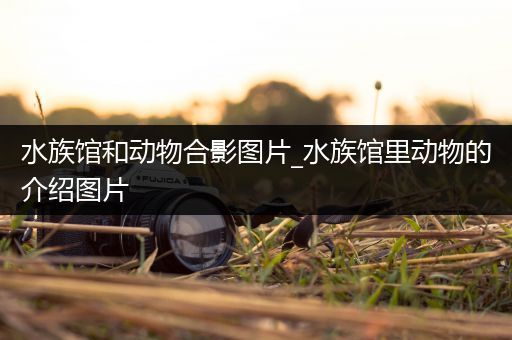 水族馆和动物合影图片_水族馆里动物的介绍图片