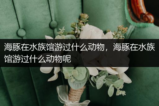 海豚在水族馆游过什么动物，海豚在水族馆游过什么动物呢