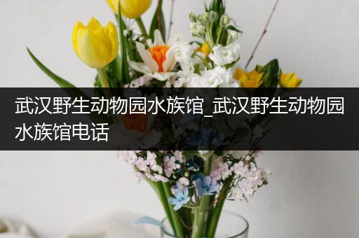 武汉野生动物园水族馆_武汉野生动物园水族馆电话