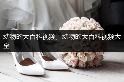 动物的大百科视频，动物的大百科视频大全