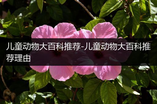 儿童动物大百科推荐-儿童动物大百科推荐理由