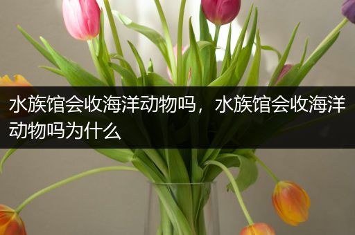 水族馆会收海洋动物吗，水族馆会收海洋动物吗为什么