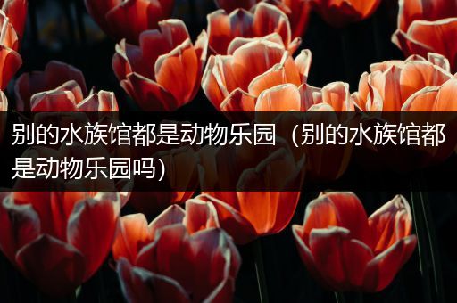 别的水族馆都是动物乐园（别的水族馆都是动物乐园吗）