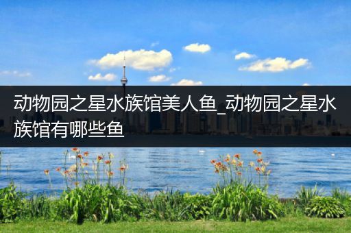 动物园之星水族馆美人鱼_动物园之星水族馆有哪些鱼