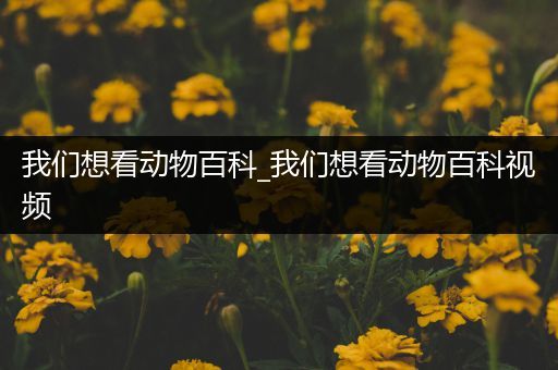 我们想看动物百科_我们想看动物百科视频