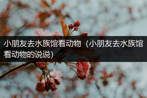 小朋友去水族馆看动物（小朋友去水族馆看动物的说说）