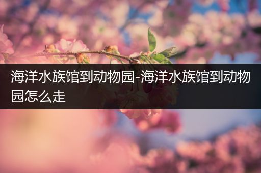 海洋水族馆到动物园-海洋水族馆到动物园怎么走