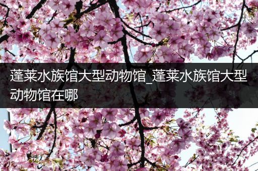 蓬莱水族馆大型动物馆_蓬莱水族馆大型动物馆在哪