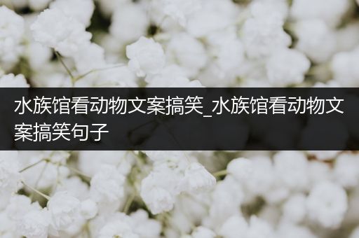 水族馆看动物文案搞笑_水族馆看动物文案搞笑句子