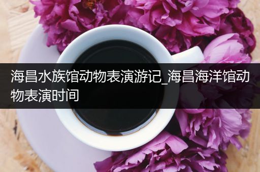 海昌水族馆动物表演游记_海昌海洋馆动物表演时间