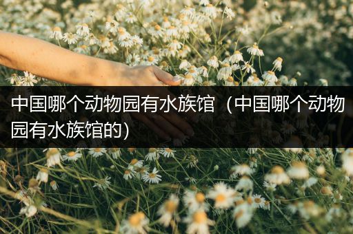中国哪个动物园有水族馆（中国哪个动物园有水族馆的）