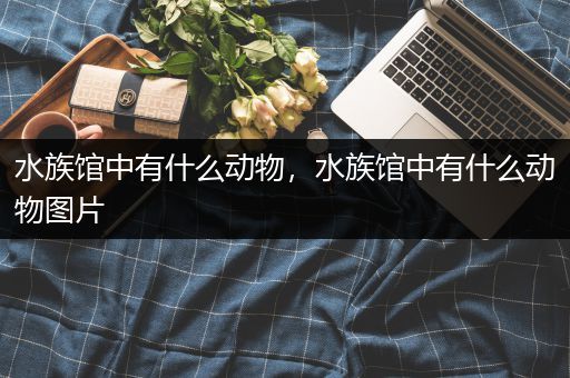 水族馆中有什么动物，水族馆中有什么动物图片