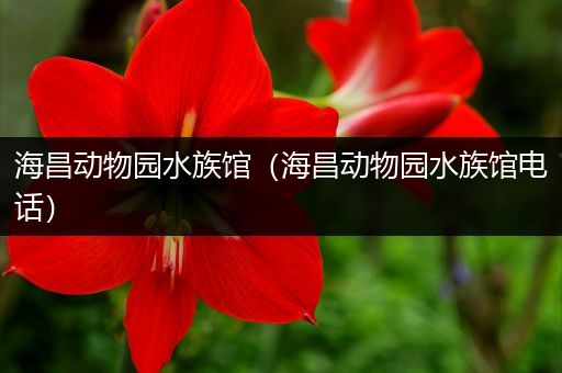 海昌动物园水族馆（海昌动物园水族馆电话）