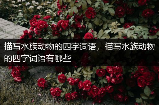 描写水族动物的四字词语，描写水族动物的四字词语有哪些