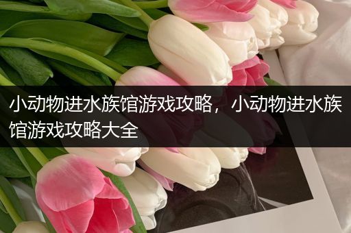 小动物进水族馆游戏攻略，小动物进水族馆游戏攻略大全