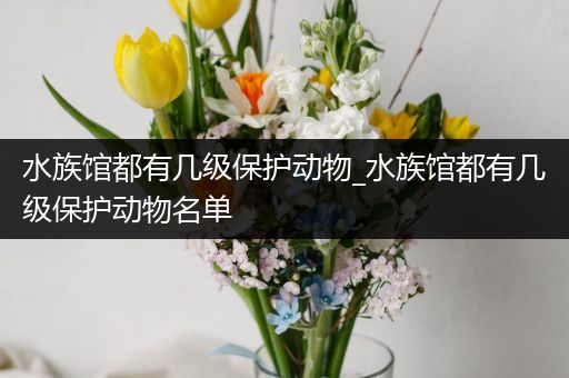 水族馆都有几级保护动物_水族馆都有几级保护动物名单