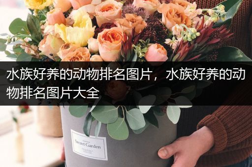 水族好养的动物排名图片，水族好养的动物排名图片大全