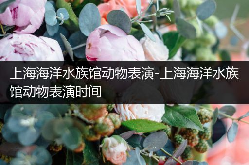 上海海洋水族馆动物表演-上海海洋水族馆动物表演时间