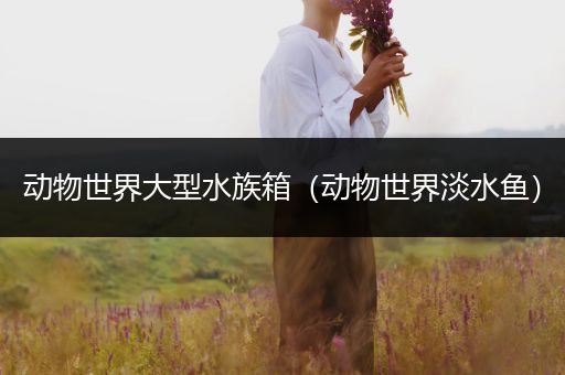 动物世界大型水族箱（动物世界淡水鱼）