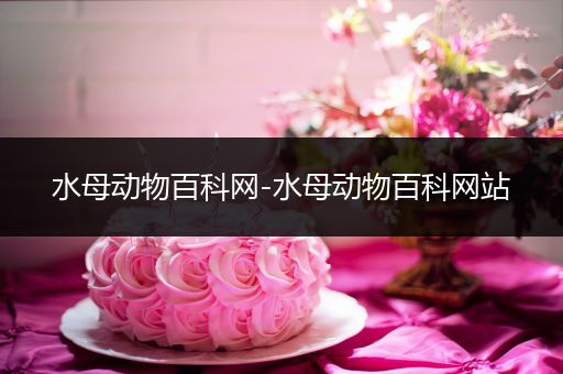 水母动物百科网-水母动物百科网站
