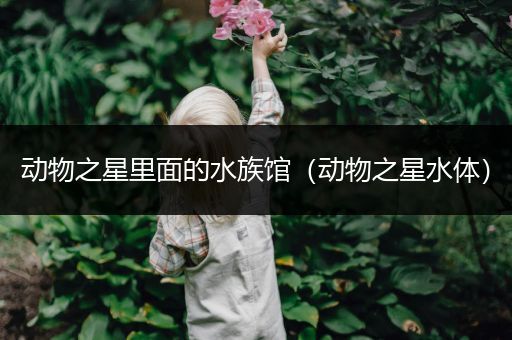 动物之星里面的水族馆（动物之星水体）