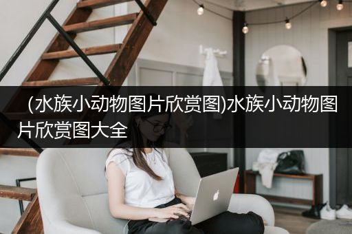 （水族小动物图片欣赏图)水族小动物图片欣赏图大全
