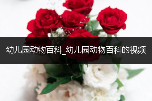 幼儿园动物百科_幼儿园动物百科的视频